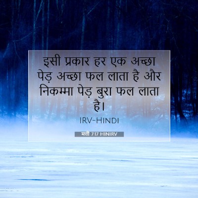 Picture 07 - मत्ती 7:17 HINIRV - इसी प्रकार हर एक - Bible Verse Picture