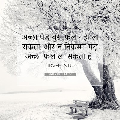 Picture 07 - मत्ती 7:18 HINIRV - अच्छा पेड़ बुरा फल - Bible Verse Picture