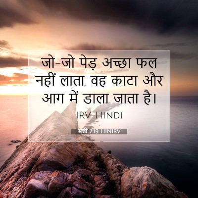 Picture 07 - मत्ती 7:19 HINIRV - जो-जो पेड़ अच्छा फल - Bible Verse Picture