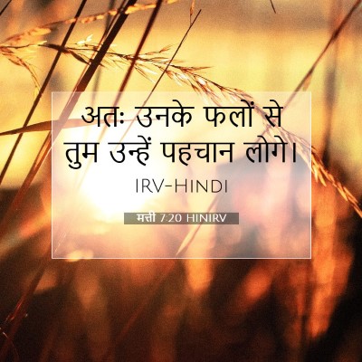 Picture 07 - मत्ती 7:20 HINIRV - अतः उनके फलों से - Bible Verse Picture