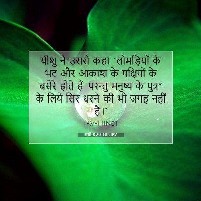 Picture 07 - मत्ती 8:20 HINIRV - यीशु ने उससे कहा, - Bible Verse Picture