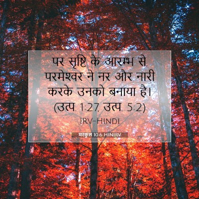 Picture 07 - मरकुस 10:6 HINIRV - पर सृष्टि के आरम्भ - Bible Verse Picture