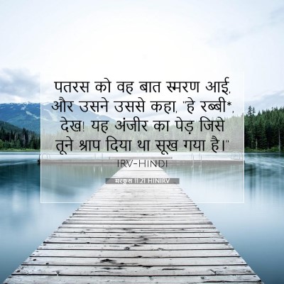 Picture 07 - मरकुस 11:21 HINIRV - पतरस को वह बात - Bible Verse Picture