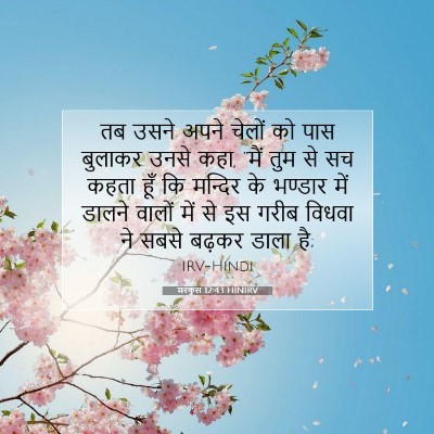 Picture 07 - मरकुस 12:43 HINIRV - तब उसने अपने चेलों - Bible Verse Picture