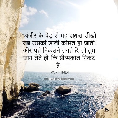 Picture 07 - मरकुस 13:28 HINIRV - “अंजीर के पेड़ से - Bible Verse Picture