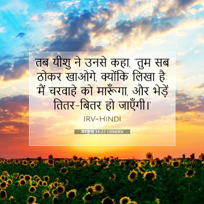 Picture 07 - मरकुस 14:27 HINIRV - तब यीशु ने उनसे - Bible Verse Picture