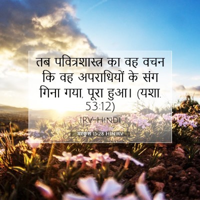 Picture 07 - मरकुस 15:28 HINIRV - तब पवित्रशास्त्र - Bible Verse Picture