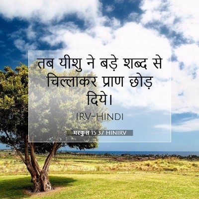 Picture 07 - मरकुस 15:37 HINIRV - तब यीशु ने बड़े - Bible Verse Picture