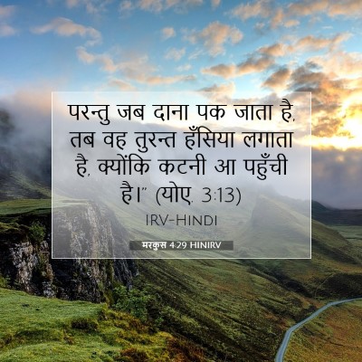 Picture 07 - मरकुस 4:29 HINIRV - परन्तु जब दाना पक - Bible Verse Picture