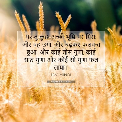 Picture 07 - मरकुस 4:8 HINIRV - परन्तु कुछ अच्छी - Bible Verse Picture