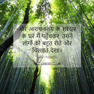 Picture 07 - मरकुस 5:38 HINIRV - और आराधनालय के - Bible Verse Picture