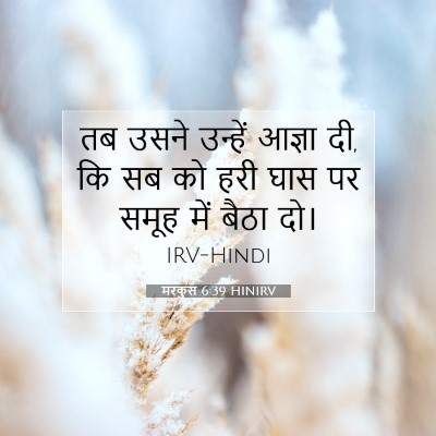 Picture 07 - मरकुस 6:39 HINIRV - तब उसने उन्हें - Bible Verse Picture