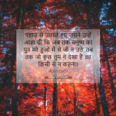 Picture 07 - मरकुस 9:9 HINIRV - पहाड़ से उतरते हुए, - Bible Verse Picture