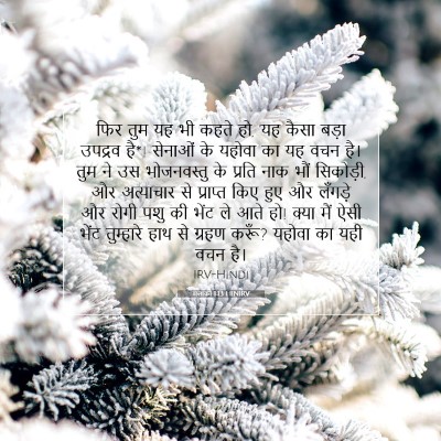Picture 07 - मलाकी 1:13 HINIRV - फिर तुम यह भी कहते - Bible Verse Picture