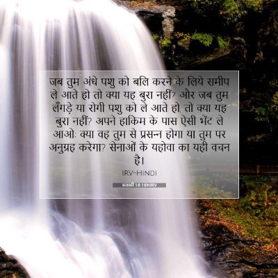 Picture 07 - मलाकी 1:8 HINIRV - जब तुम अंधे पशु को - Bible Verse Picture
