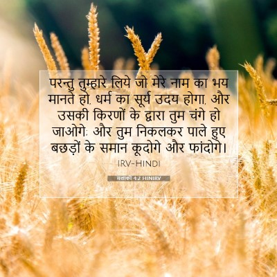 Picture 07 - मलाकी 4:2 HINIRV - परन्तु तुम्हारे - Bible Verse Picture