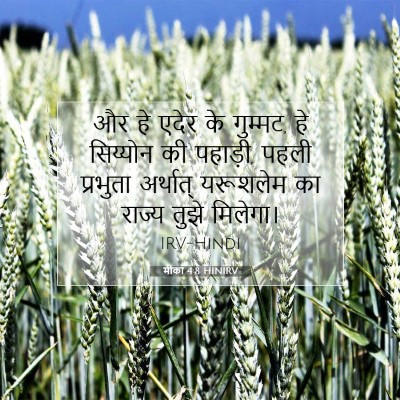 Picture 07 - मीका 4:8 HINIRV - और हे एदेर के - Bible Verse Picture