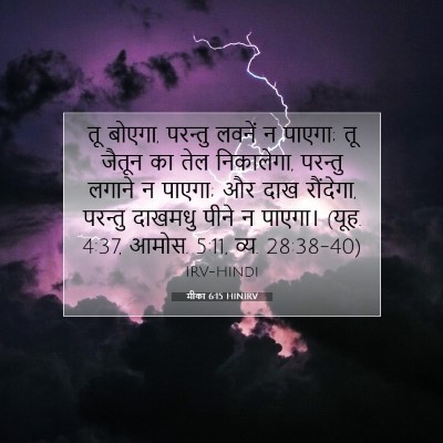 Picture 07 - मीका 6:15 HINIRV - तू बोएगा, परन्तु - Bible Verse Picture