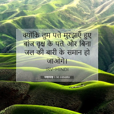 Picture 07 - यशायाह 1:30 HINIRV - क्योंकि तुम पत्ते - Bible Verse Picture