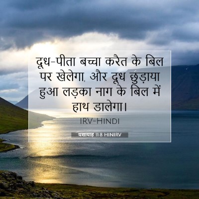 Picture 07 - यशायाह 11:8 HINIRV - दूध-पीता बच्चा - Bible Verse Picture