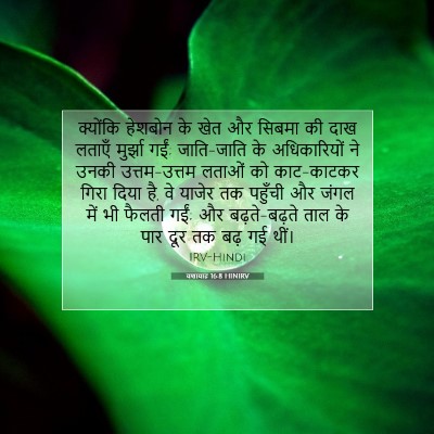Picture 07 - यशायाह 16:8 HINIRV - क्योंकि हेशबोन के - Bible Verse Picture