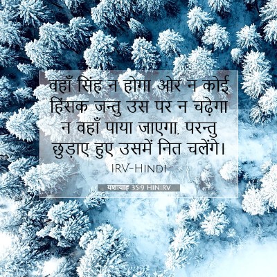 Picture 07 - यशायाह 35:9 HINIRV - वहाँ सिंह न होगा ओर - Bible Verse Picture