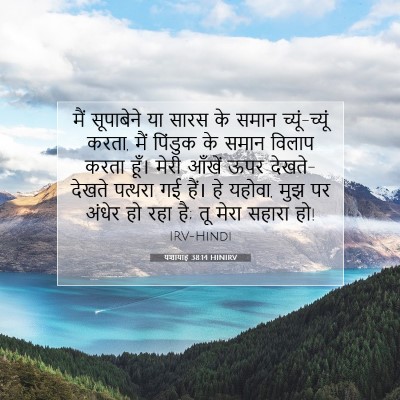 Picture 07 - यशायाह 38:14 HINIRV - मैं सूपाबेने या - Bible Verse Picture
