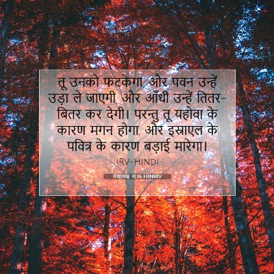 Picture 07 - यशायाह 41:16 HINIRV - तू उनको फटकेगा, और - Bible Verse Picture