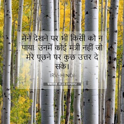 Picture 07 - यशायाह 41:28 HINIRV - मैंने देखने पर भी - Bible Verse Picture