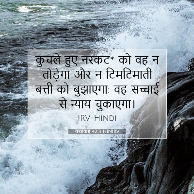 Picture 07 - यशायाह 42:3 HINIRV - कुचले हुए नरकट* को - Bible Verse Picture