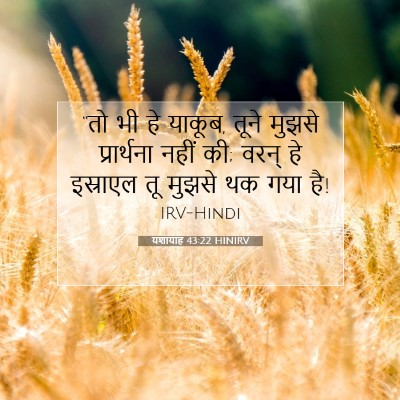 Picture 07 - यशायाह 43:22 HINIRV - “तो भी हे याकूब, - Bible Verse Picture