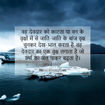 Picture 07 - यशायाह 44:14 HINIRV - वह देवदार को काटता - Bible Verse Picture