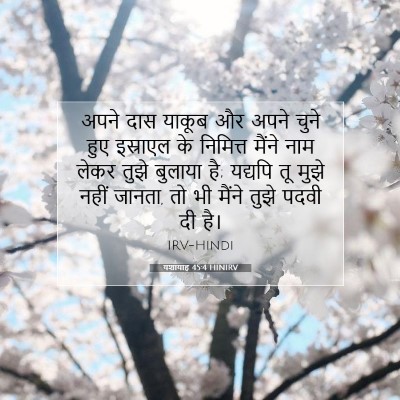 Picture 07 - यशायाह 45:4 HINIRV - अपने दास याकूब और - Bible Verse Picture