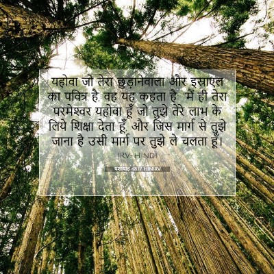 Picture 07 - यशायाह 48:17 HINIRV - यहोवा जो तेरा - Bible Verse Picture