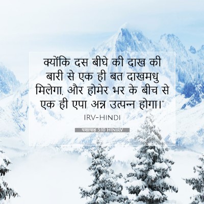 Picture 07 - यशायाह 5:10 HINIRV - क्योंकि दस बीघे की - Bible Verse Picture