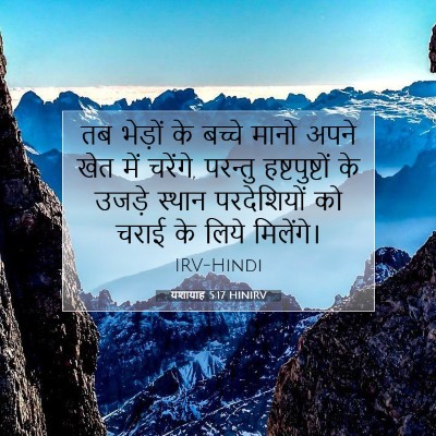 Picture 07 - यशायाह 5:17 HINIRV - तब भेड़ों के बच्चे - Bible Verse Picture