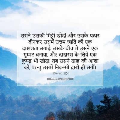 Picture 07 - यशायाह 5:2 HINIRV - उसने उसकी मिट्टी - Bible Verse Picture