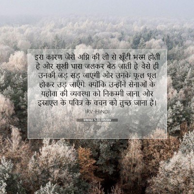 Picture 07 - यशायाह 5:24 HINIRV - इस कारण जैसे अग्नि - Bible Verse Picture