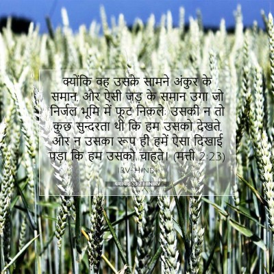 Picture 07 - यशायाह 53:2 HINIRV - क्योंकि वह उसके - Bible Verse Picture
