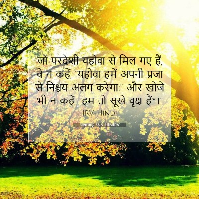 Picture 07 - यशायाह 56:3 HINIRV - जो परदेशी यहोवा से - Bible Verse Picture
