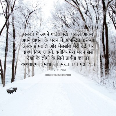 Picture 07 - यशायाह 56:7 HINIRV - उनको मैं अपने - Bible Verse Picture