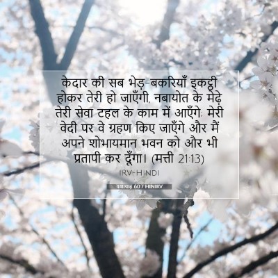 Picture 07 - यशायाह 60:7 HINIRV - केदार की सब - Bible Verse Picture