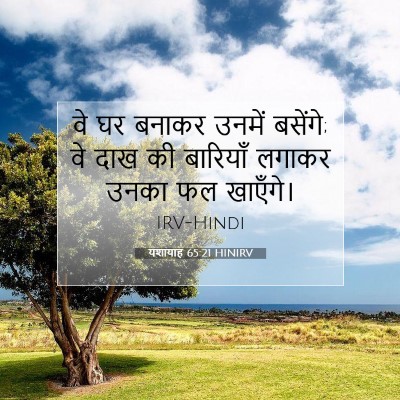 Picture 07 - यशायाह 65:21 HINIRV - वे घर बनाकर उनमें - Bible Verse Picture