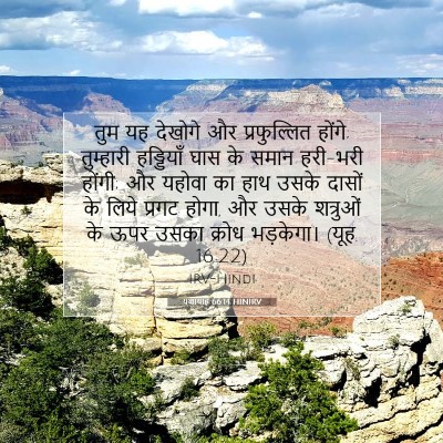Picture 07 - यशायाह 66:14 HINIRV - तुम यह देखोगे और - Bible Verse Picture