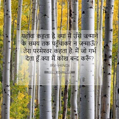 Picture 07 - यशायाह 66:9 HINIRV - यहोवा कहता है, क्या - Bible Verse Picture