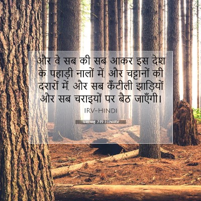 Picture 07 - यशायाह 7:19 HINIRV - और वे सब की सब आकर - Bible Verse Picture
