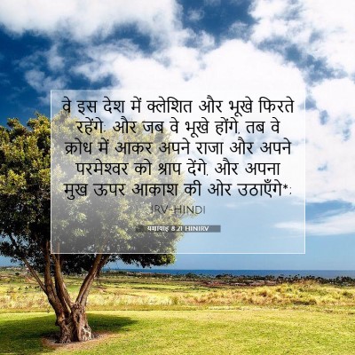 Picture 07 - यशायाह 8:21 HINIRV - वे इस देश में - Bible Verse Picture