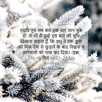 Picture 07 - यहूदा 1:5 HINIRV - यद्यपि तुम सब बात - Bible Verse Picture