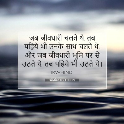 Picture 07 - यहेजकेल 1:19 HINIRV - जब जीवधारी चलते थे, - Bible Verse Picture