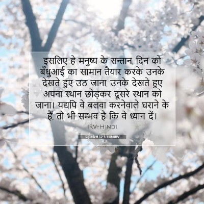 Picture 07 - यहेजकेल 12:3 HINIRV - इसलिए हे मनुष्य के - Bible Verse Picture